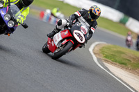 Vintage-motorcycle-club;eventdigitalimages;mallory-park;mallory-park-trackday-photographs;no-limits-trackdays;peter-wileman-photography;trackday-digital-images;trackday-photos;vmcc-festival-1000-bikes-photographs